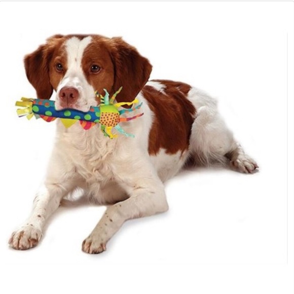 Petstages Cool Teething Stick-Brand New with Tags - Picture 2 of 2